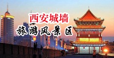 骚B乱射中国陕西-西安城墙旅游风景区